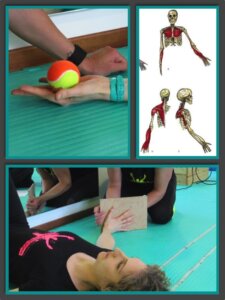 Esercizi posturali per mano e polso